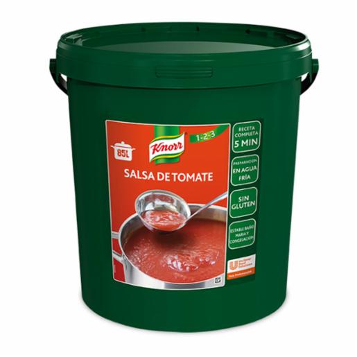 Salsa de Tomate Knorr Deshidratada 10 Kg