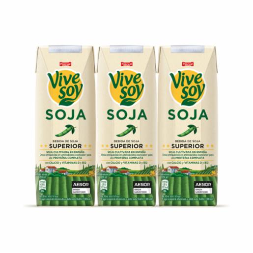 Bebida de Soja Vivesoy 250 ml